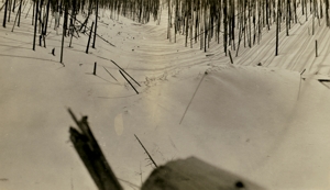 Looking up the slide gulch.