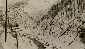 Canyon near Avery