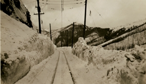 View east from Falcon.
