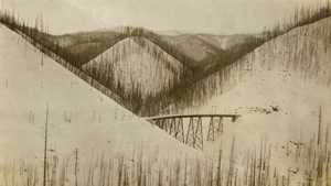Bridge near Adair.
