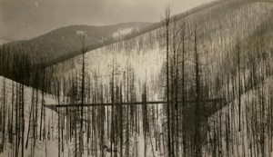 Dominion Creek Bridge