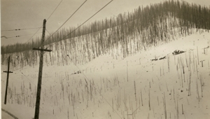 Upper portion of Loop above Bryson.