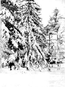 January, 1931